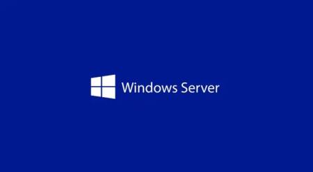 Windows Svr Std 2025 English 1pk DSP OEI 2Cr NoMedia/NoKey (APOS) AddLic