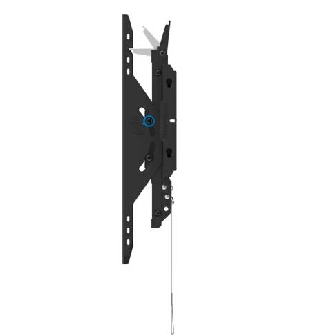 Neomounts Level-750 Wall Mount (XL