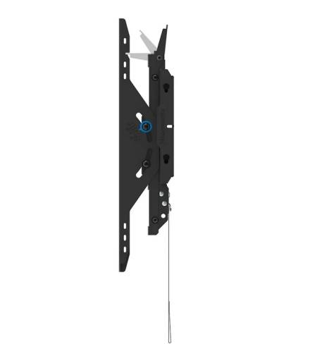Neomounts Level-750 Wall Mount (XL