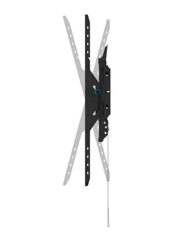 Neomounts Level-750 Wall Mount (XL