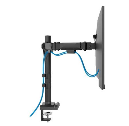 Neomounts Nero Double Flat Screen Desk Mount (phone holder+Quick-fix clamp/grommet)