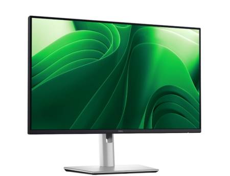 Dell P2425D