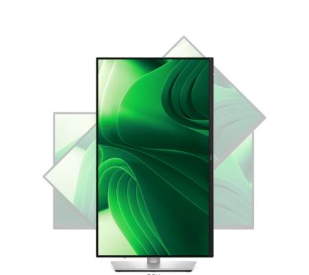 Dell P2425D