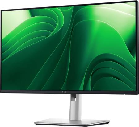Dell P2425DE