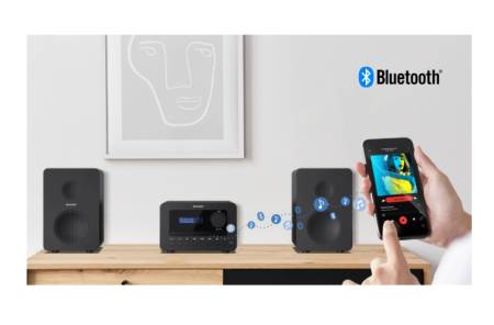 Sharp Audio Systems XL-B514(BK)