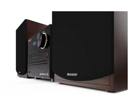 Sharp Audio Systems XL-B517D(BR)