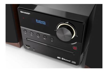 Sharp Audio Systems XL-B517D(BR)