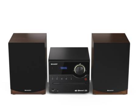 Sharp Audio Systems XL-B517D(BR)