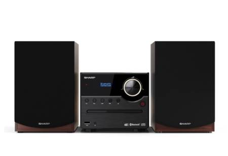 Sharp Audio Systems XL-B517D(BR)