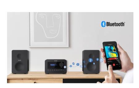 Sharp Audio Systems XL-B520D(BK)