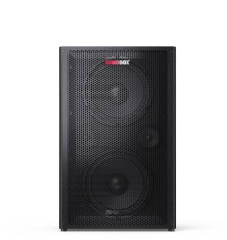 Sharp Speakers CP-LS200