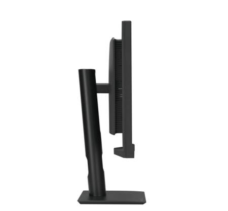 Asus ProArt Display PA24US Professional Monitor