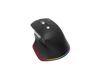 Acer Easy Fit Wireless Mouse