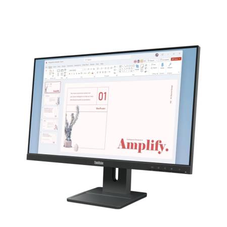 Lenovo ThinkVision E24-40 23.8" IPS