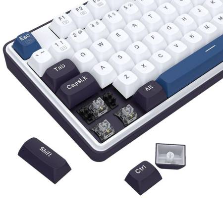 Механична геймърска клавиатура Redragon Wyvern K689WBB-RGB с RGB  подсветка - бяло/синьо