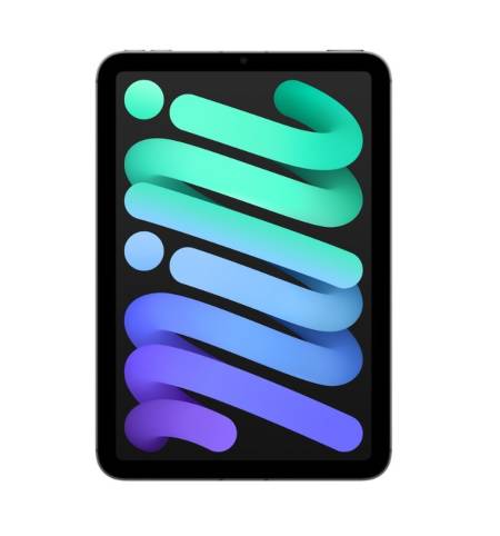 Apple iPad mini (A17 Pro) Cellular 256GB - Space Grey
