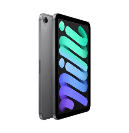 Apple iPad mini (A17 Pro) Cellular 512GB - Space Grey