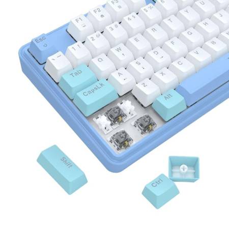 Геймърска механична клавиатура Redragon Star Blade K707WBB-RGB - синьо/бяло