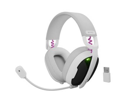 Fury Gaming Headset