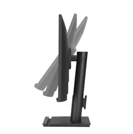 Asus BE248CFN Docking Monitor