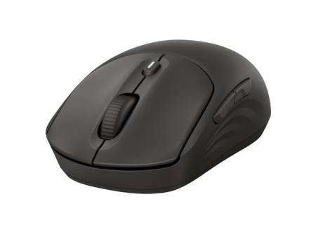 HP 405 Quiet Black Wireless B Mouse EMEA INTL Euro plug (EN)
