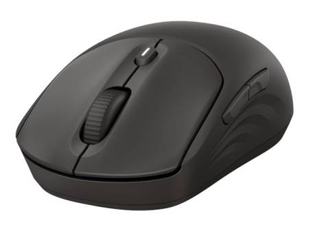 HP 405 Quiet BLK Wireless Mouse EMEA INTL Euro plug (EN)
