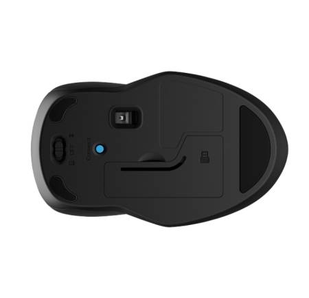 HP 255 Dual Wireless Mouse