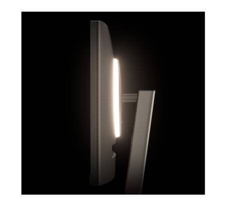 BenQ RD320U 31.5" IPS