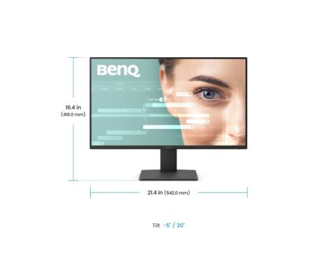 BenQ GW2491