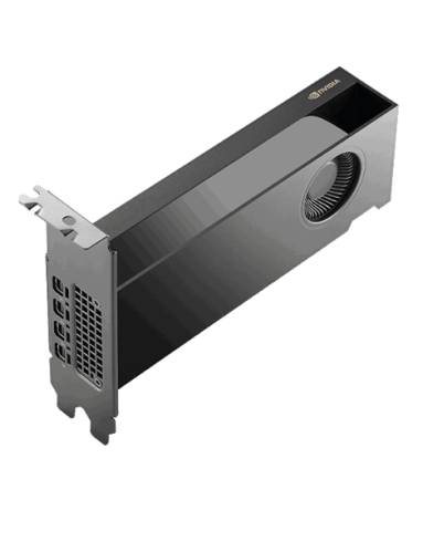 PNY Nvidia RTX PRO 2000 16GB GDDR7 Blackwell